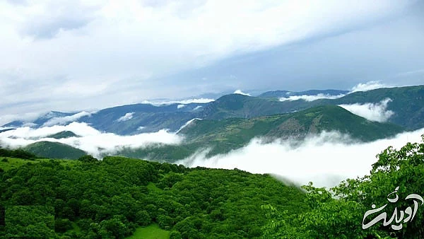 یونسکو، جنگل های ارسباران را در فهرست میراث جهانی قرار نداد یونسکو، جنگل های ارسباران را در فهرست میراث جهانی قرار نداد